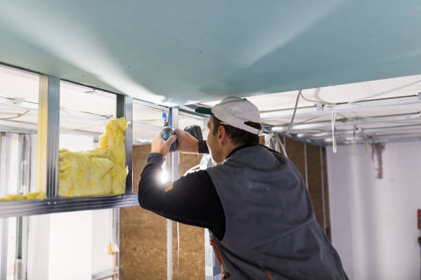 Best Residential Insulation Services  in Dunlap, IN