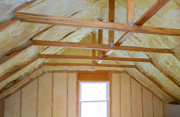 Best Spray Foam Insulation  in Dunlap, IN