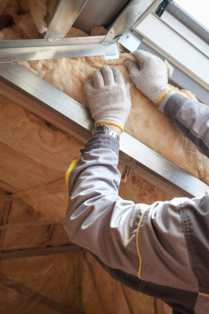 Best Attic Insulation Installation  in Dunlap, IN