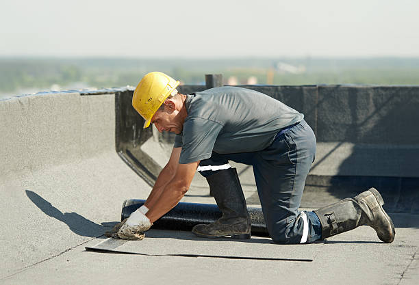 Best Insulation Repair Services  in Dunlap, IN