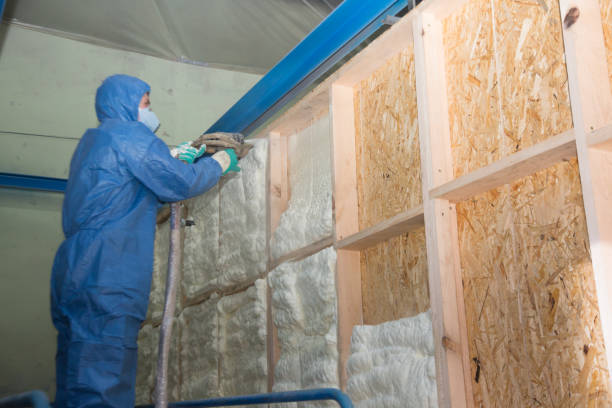 Best Insulation Replacement Services  in Dunlap, IN