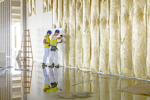Best Insulation Contractor Near Me  in Dunlap, IN